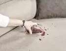 Lena Koltuk Takımı Lena Koltuk Takımı